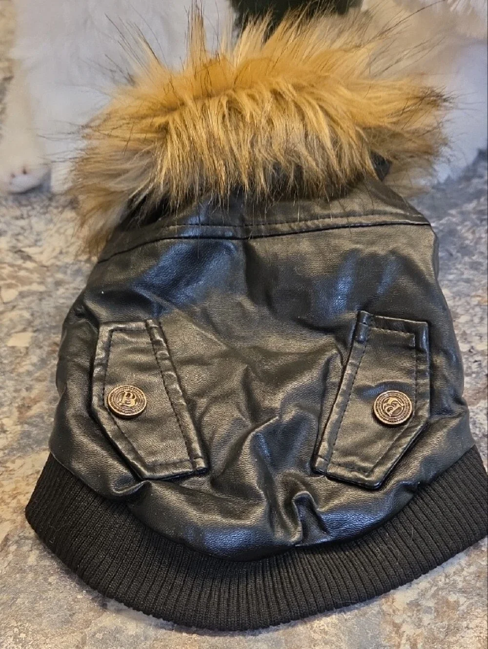 Dogs Faux Fur-Trim Hooded Jacket - Black with Tan Fur